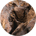 Resins & Woods